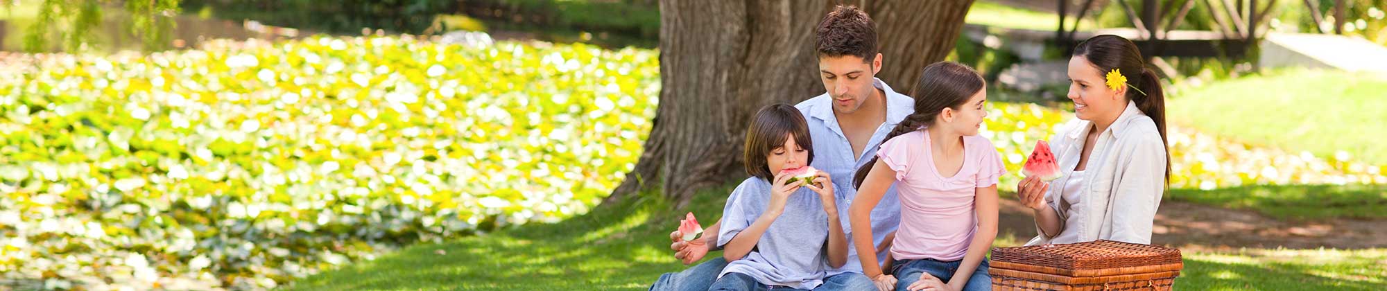 family having a picnic under a tree on a sunny day